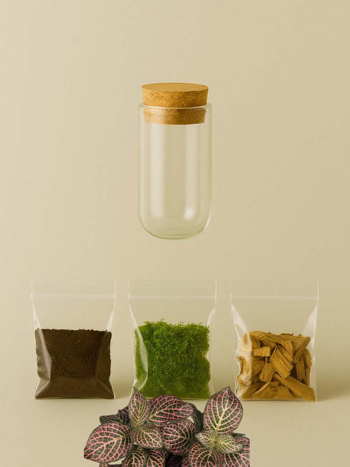 MiniGarden “Fittonia Pink”