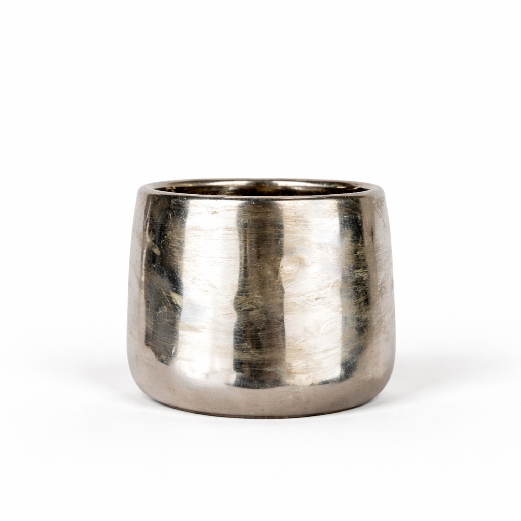Vaso Luxury Silver Vaso Tropical Corner