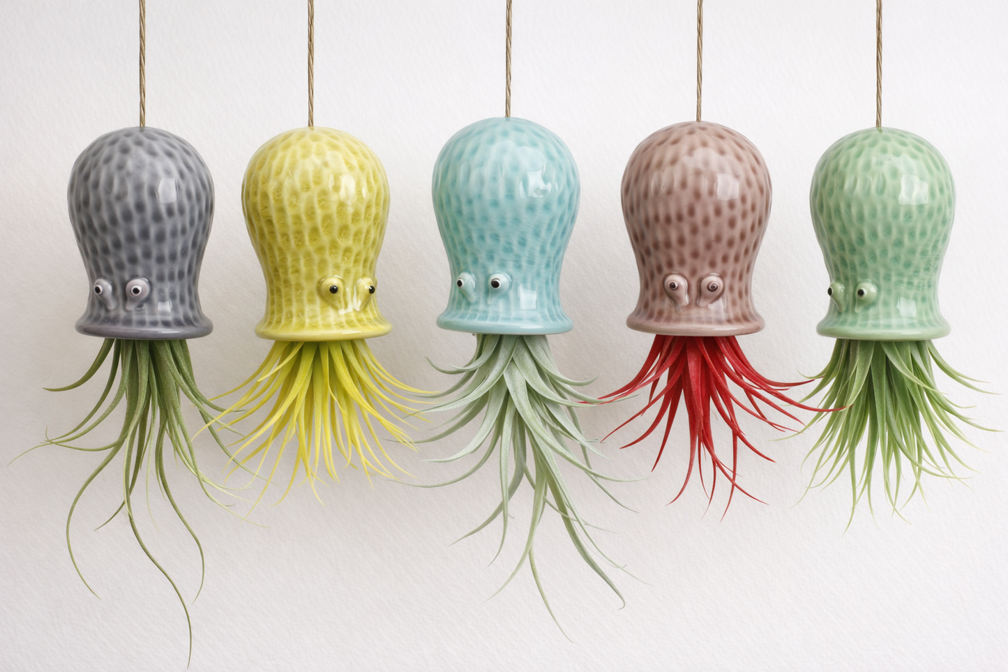 Supporto per Tillandsie Tillandsia Tropical Corner