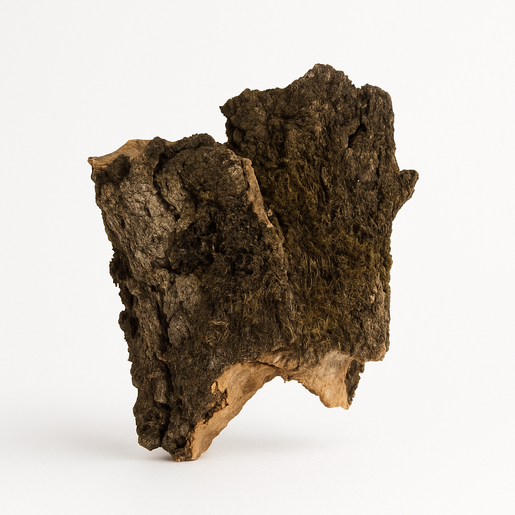 Corteccia di sughero