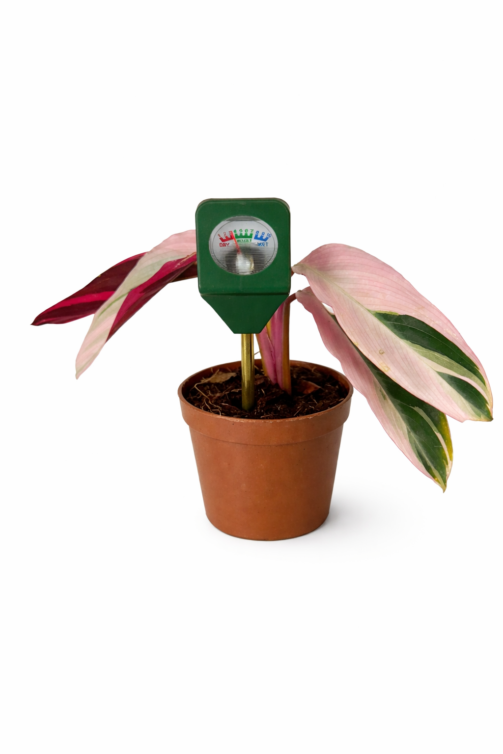 Mini soil meter | misuratore di umidità del terreno