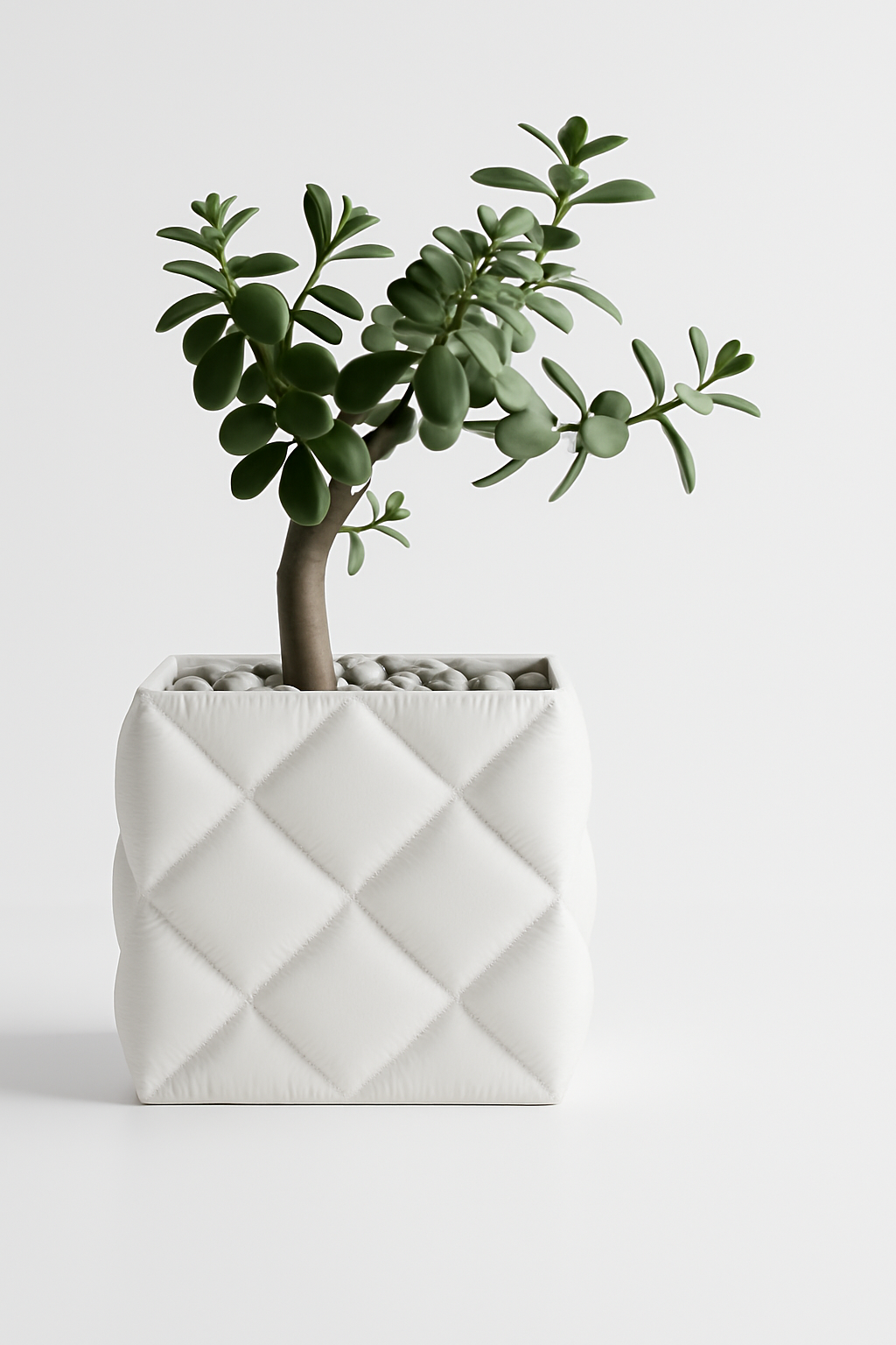 Vaso Cozy Tropical Corner Bianco