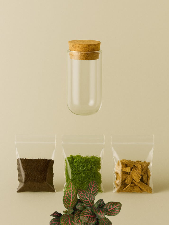 MiniGarden “Fittonia Red”