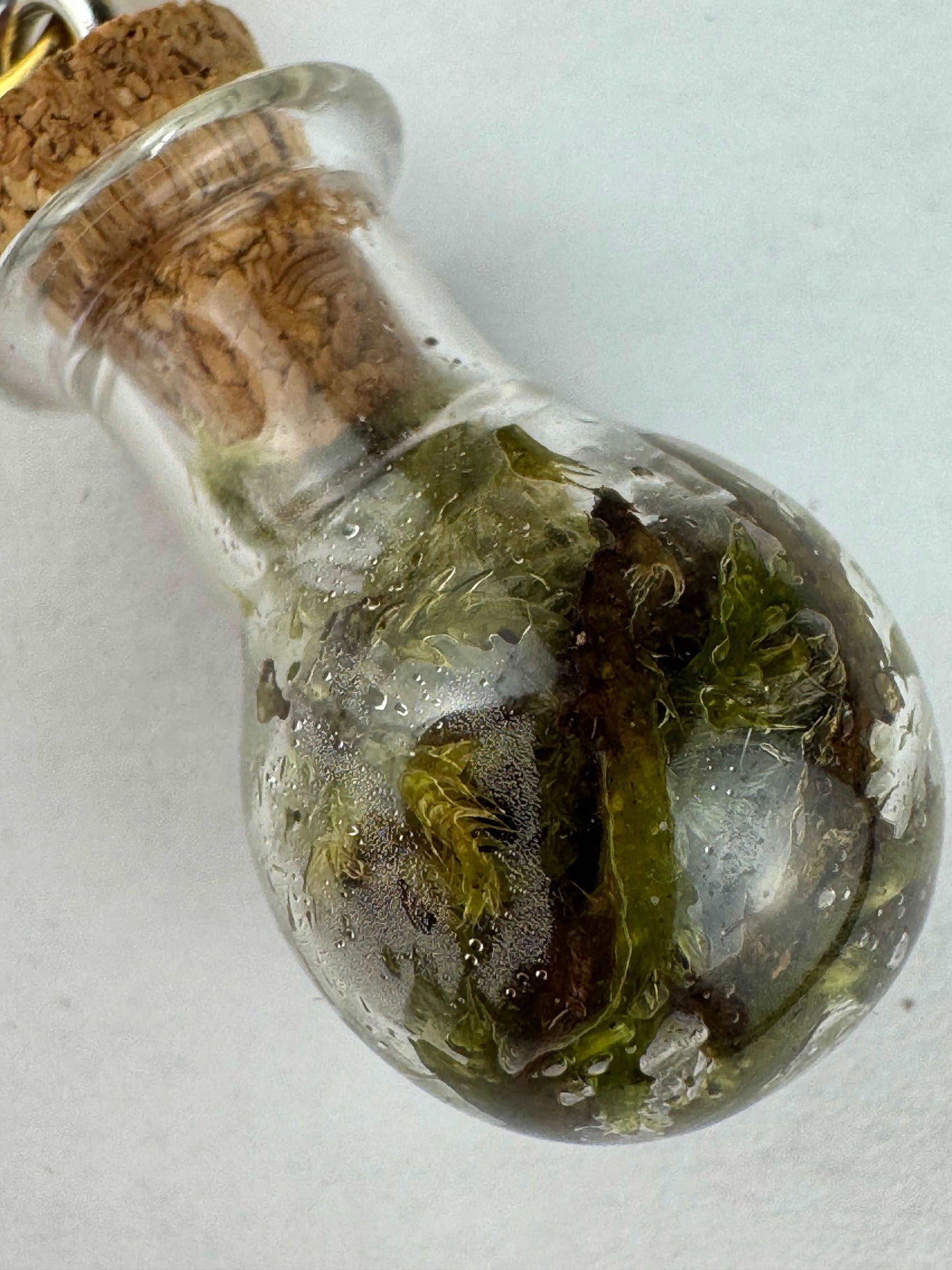 Keychain mini-terrarium