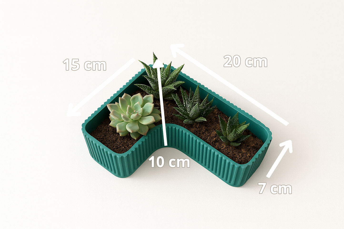 Vaso Composizione Vaso 3D Tropical Corner