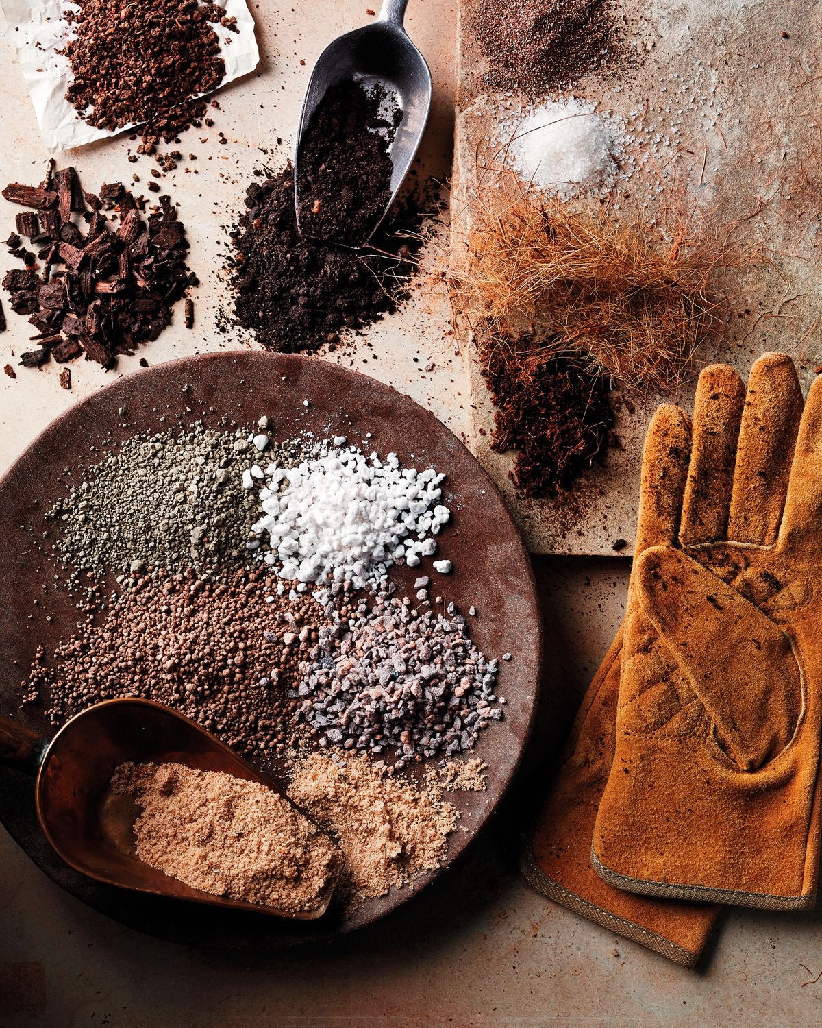 Complete Guide to Plant Substrates: Types, Uses and Advice 