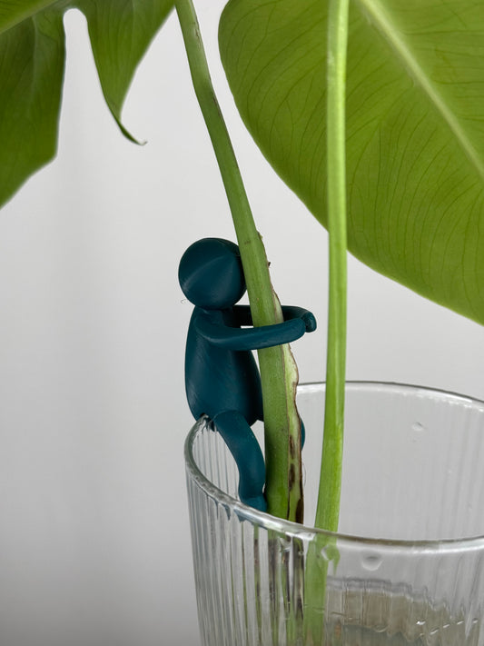 "Buddy" plant holder | Supporto talee