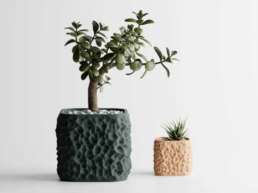 Vaso Lunaris