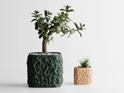 Vaso Lunaris