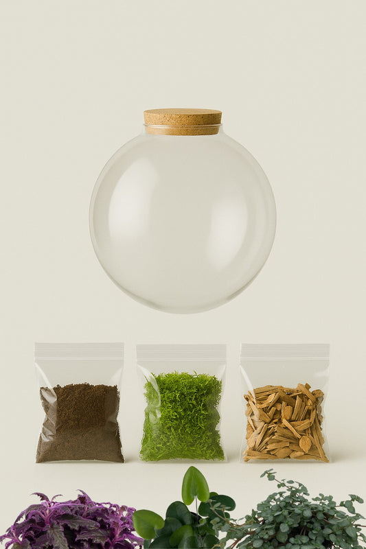 Terrarium “Heart shaped”