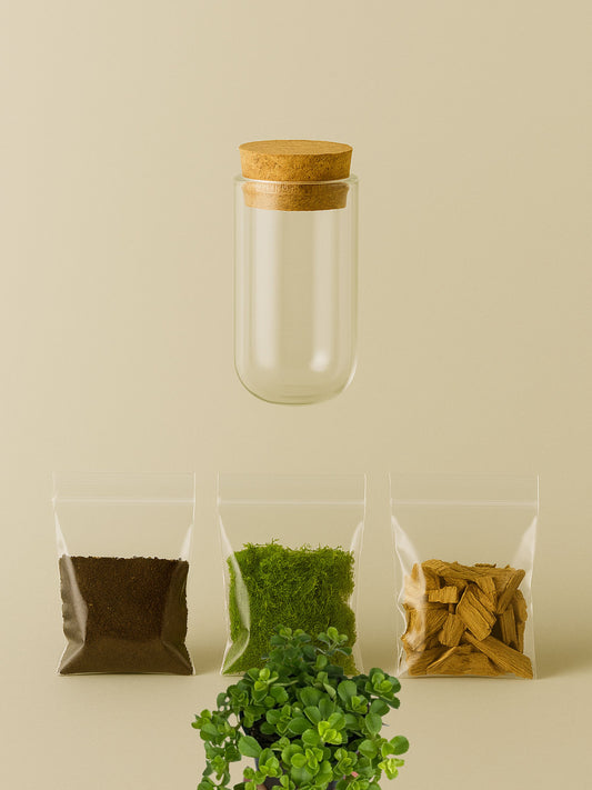 MiniGarden “Brasil”