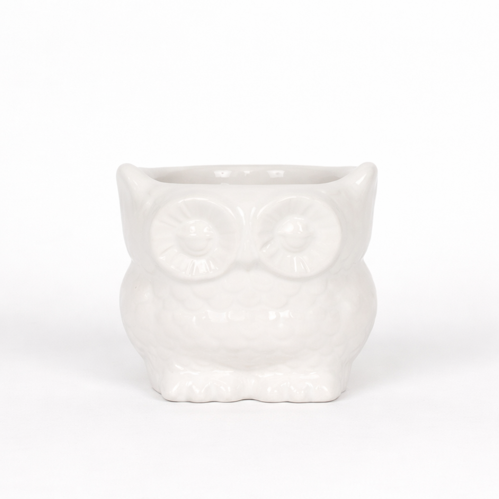Vaso Owl Vaso Tropical Corner