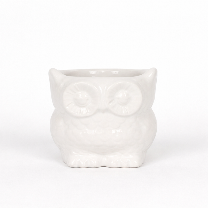 Vasi in Ceramica