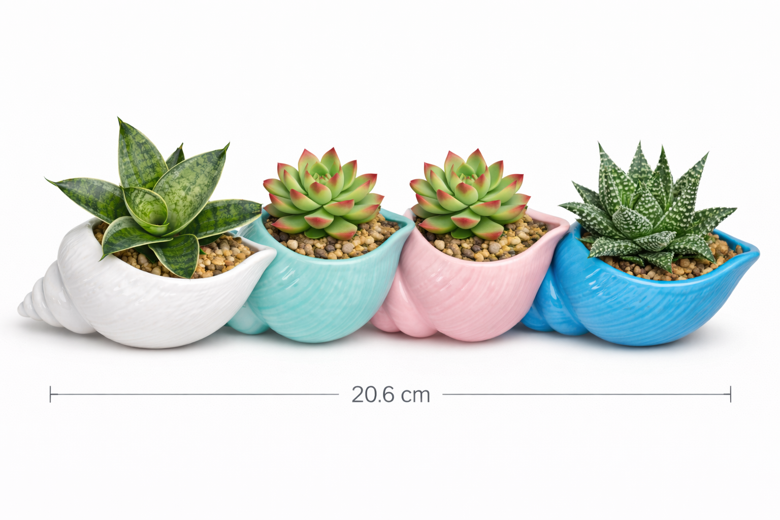 Vaso conchiglia Vaso Tropical Corner