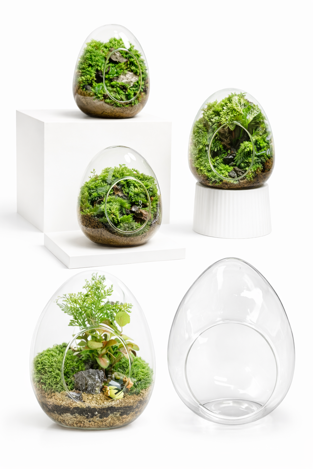 Uovo di vetro Accessorio Tropical Corner