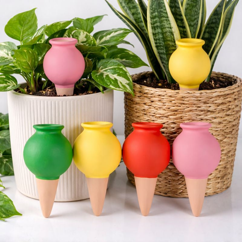 Olla in ceramica per irrigazione Irrigazione Tropical Corner