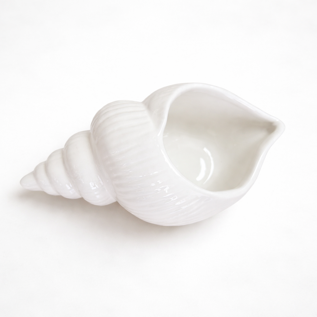 Vaso conchiglia Vaso Tropical Corner Bianco
