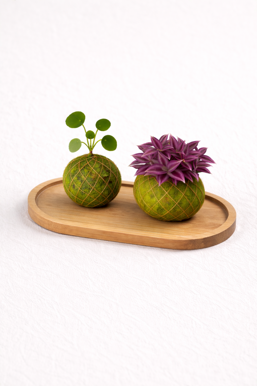 Base per coppia baby Kokedama Kokedama Tropical Corner