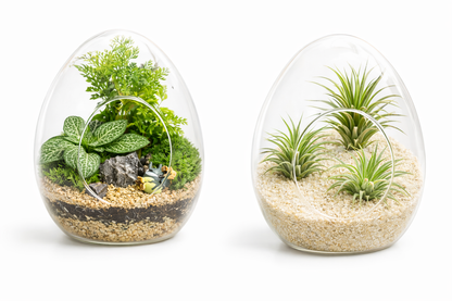 Uovo di vetro Accessorio Tropical Corner