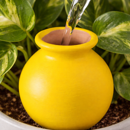 Olla in ceramica per irrigazione Irrigazione Tropical Corner
