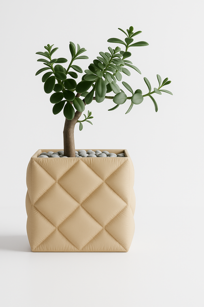Vaso Cozy