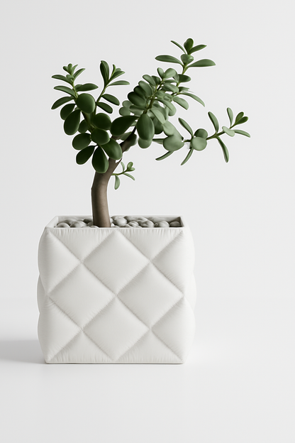 Vaso Cozy
