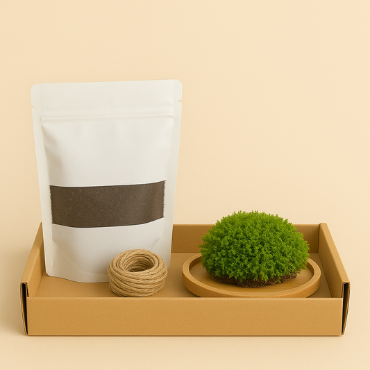 Kit | Kokedama