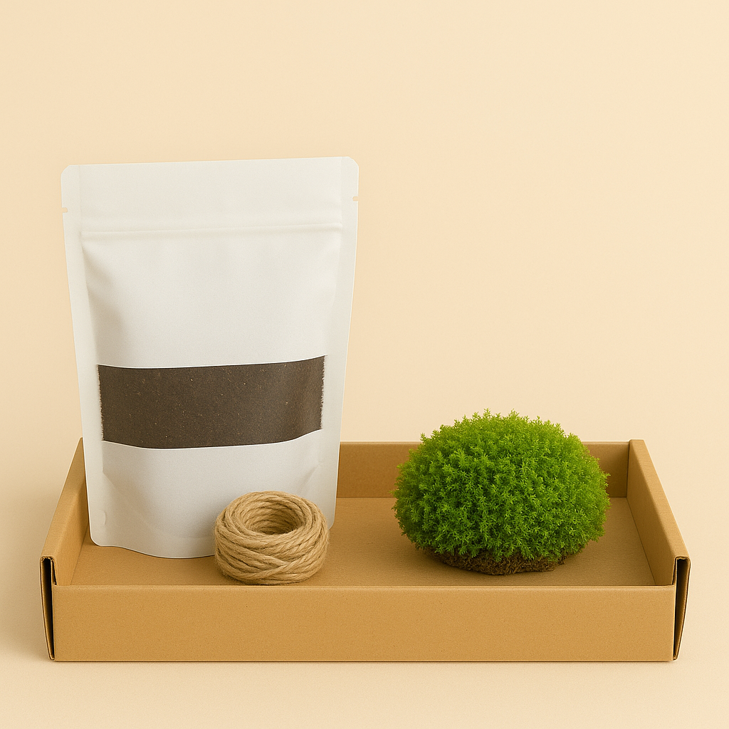 Kit | Kokedama