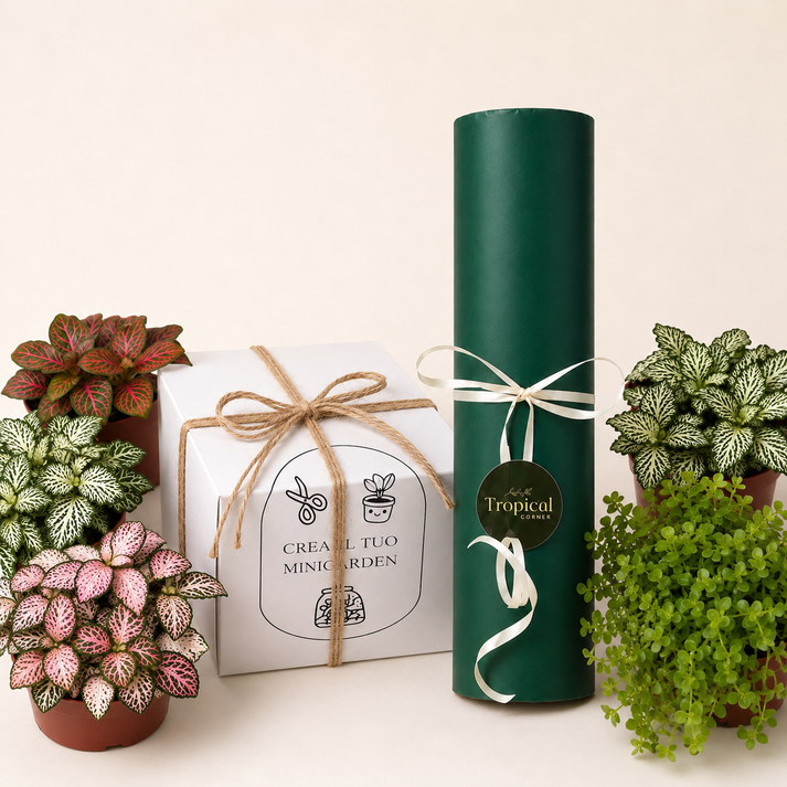 Confezione regalo