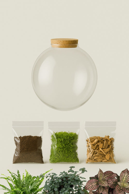 Terrarium “Minies”