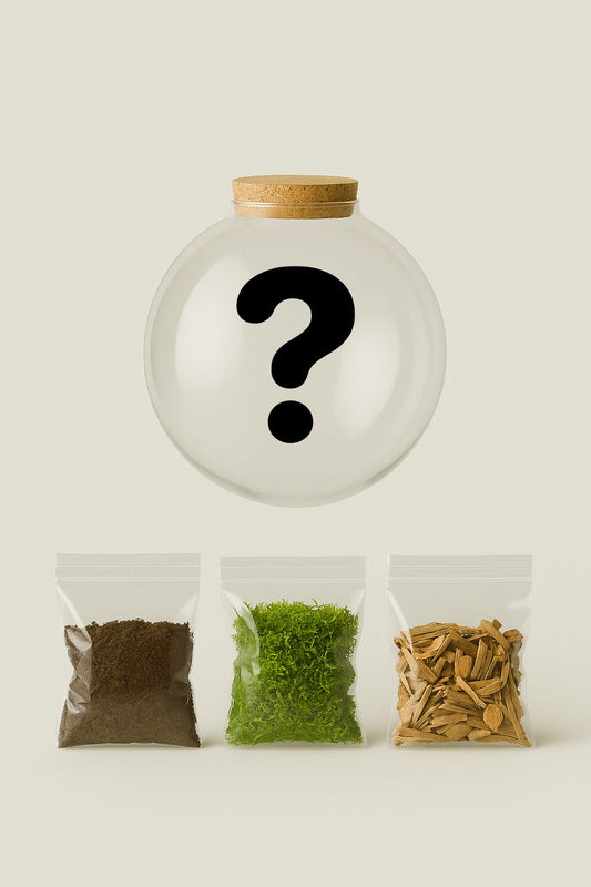 Terrarium mistery