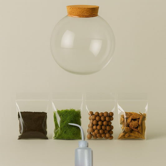 Kit | Terrarium