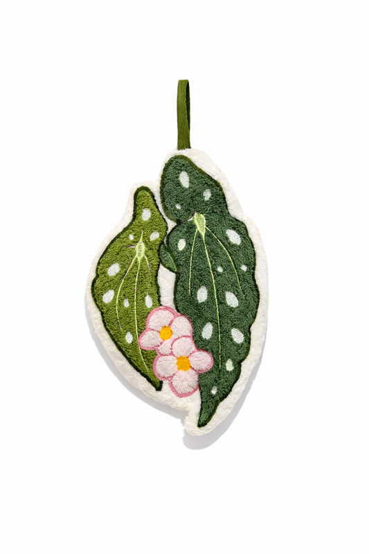 Plush | Begonia leaf