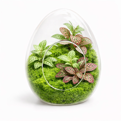 Uovo di vetro Accessorio Tropical Corner