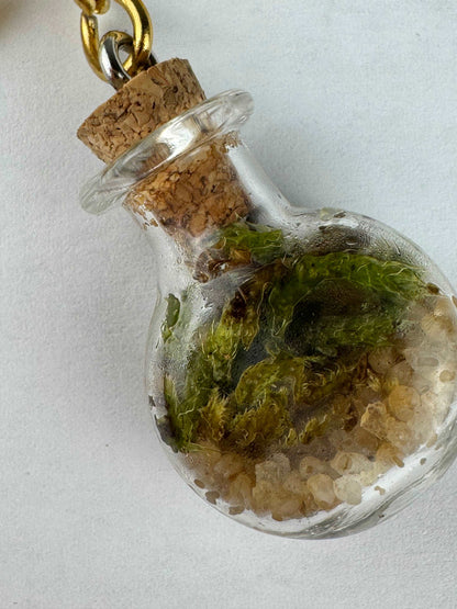 Keychain mini-terrarium