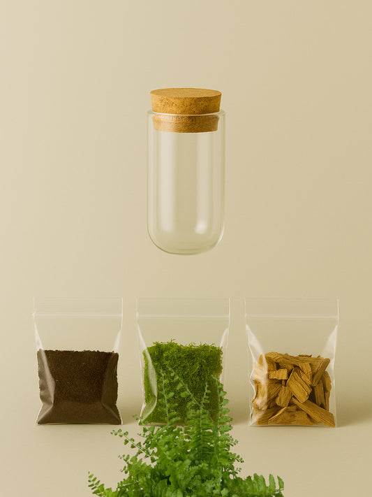 MiniGarden Green fantasy Nephrolepis Tropical Corner