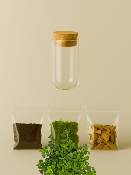 MiniGarden Sao Paulo MiniGarden Tropical Corner