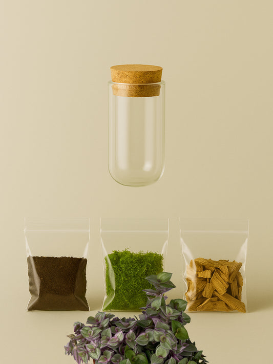 MiniGarden Pink Panther Tropical Corner