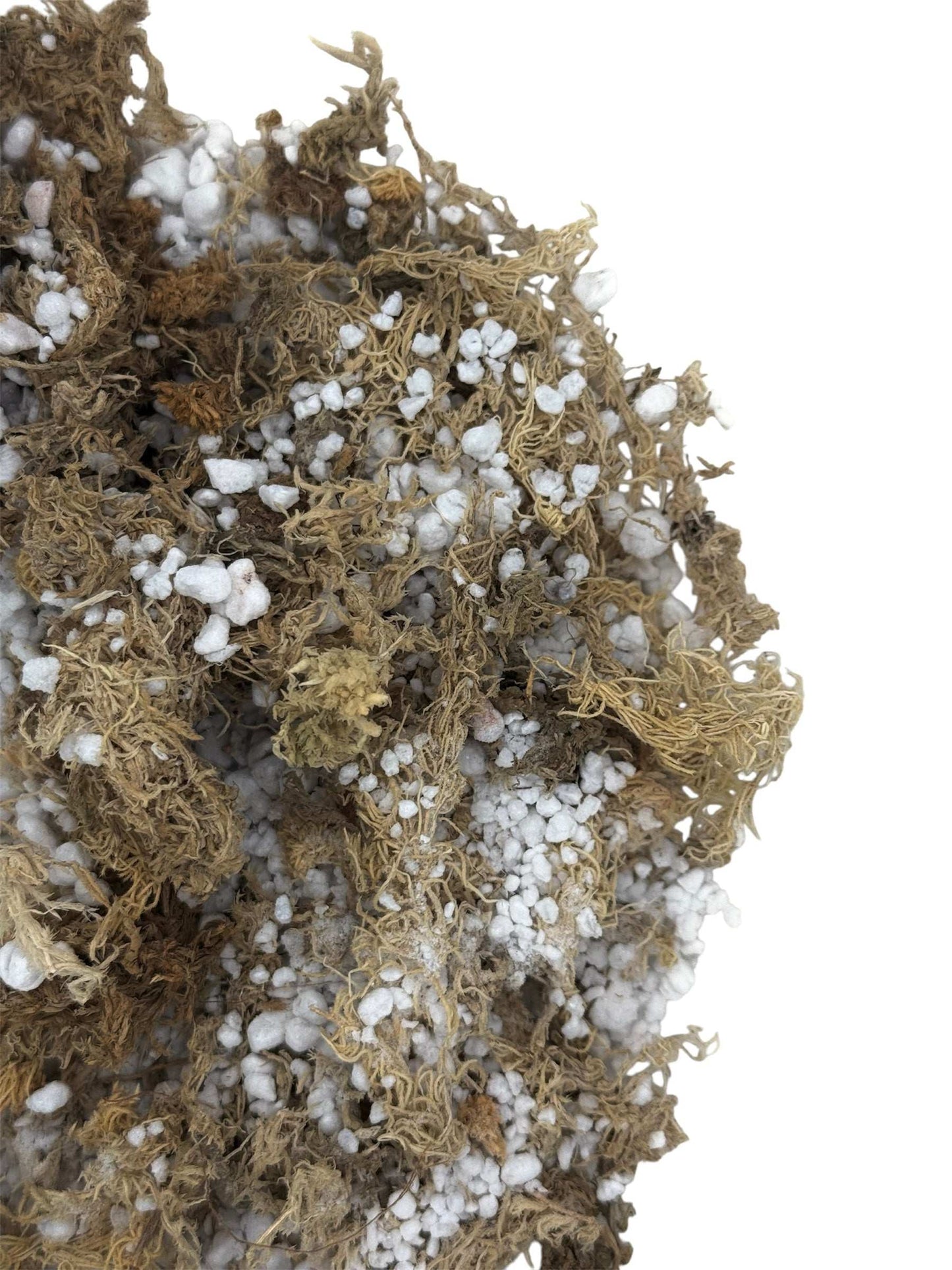 Mix perlite & sfagno