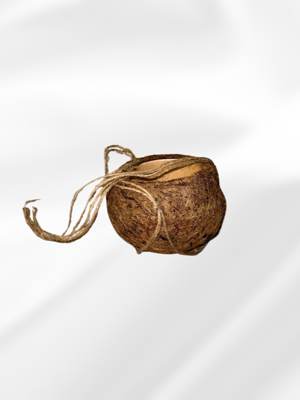 Vaso “Cocco”