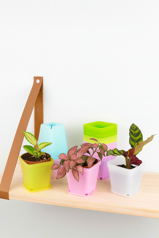 Vaso Mini Joy