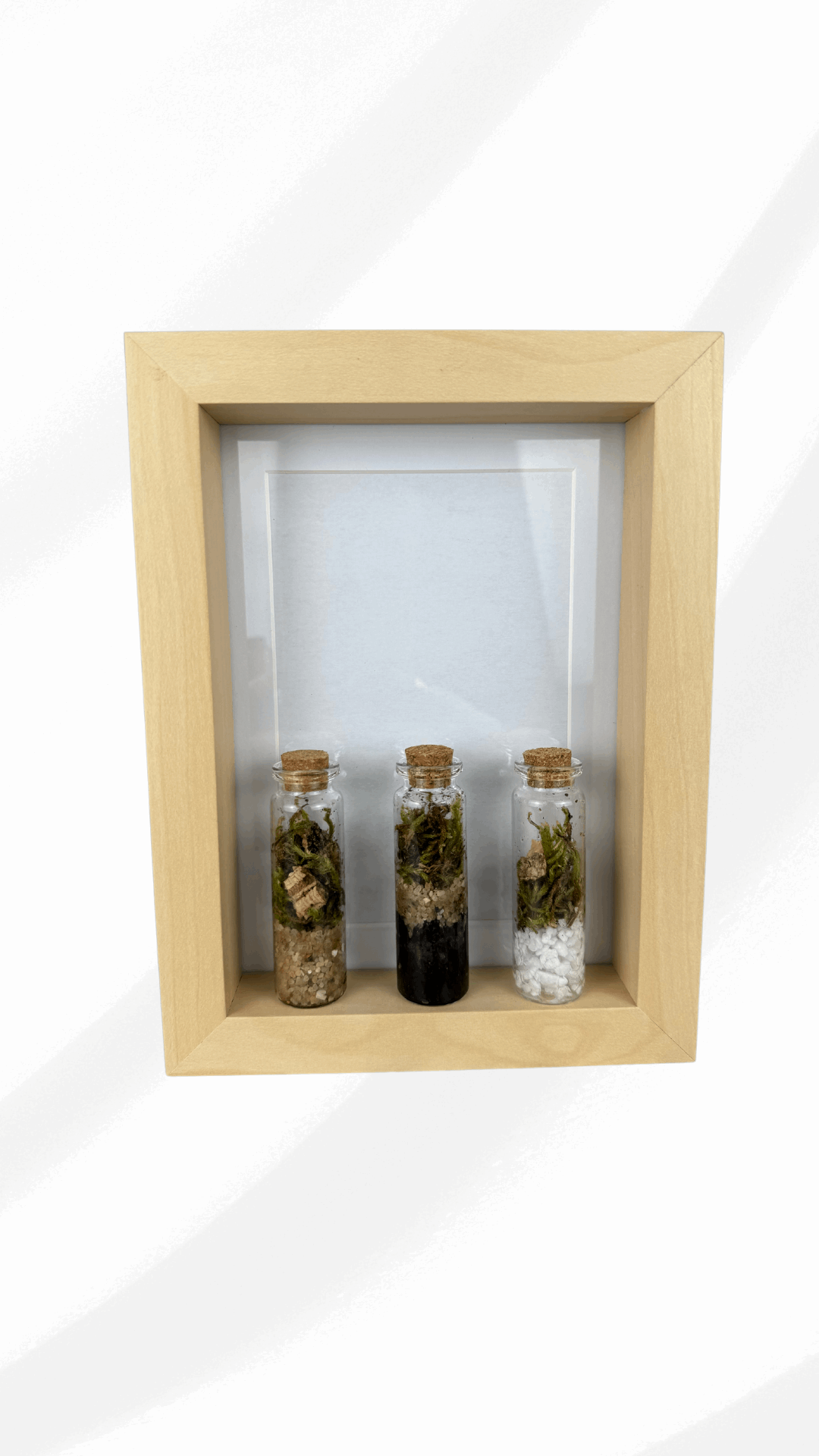 Quadro TripleTerrarium