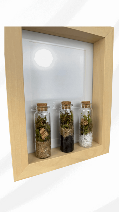 Quadro TripleTerrarium