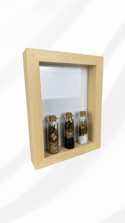 Quadro TripleTerrarium