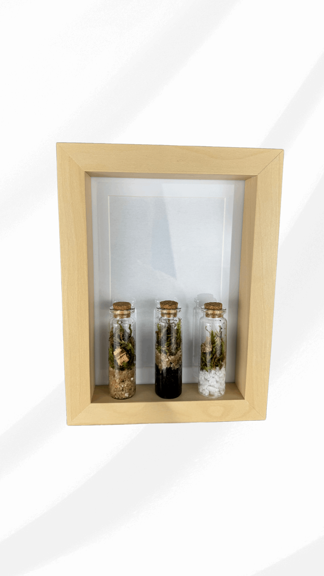 Quadro TripleTerrarium