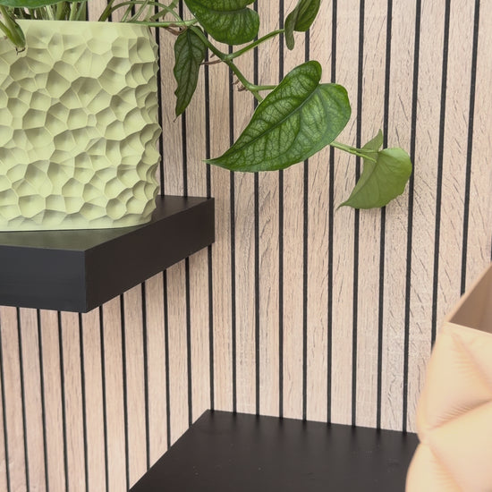 Vaso Cozy Tropical Corner