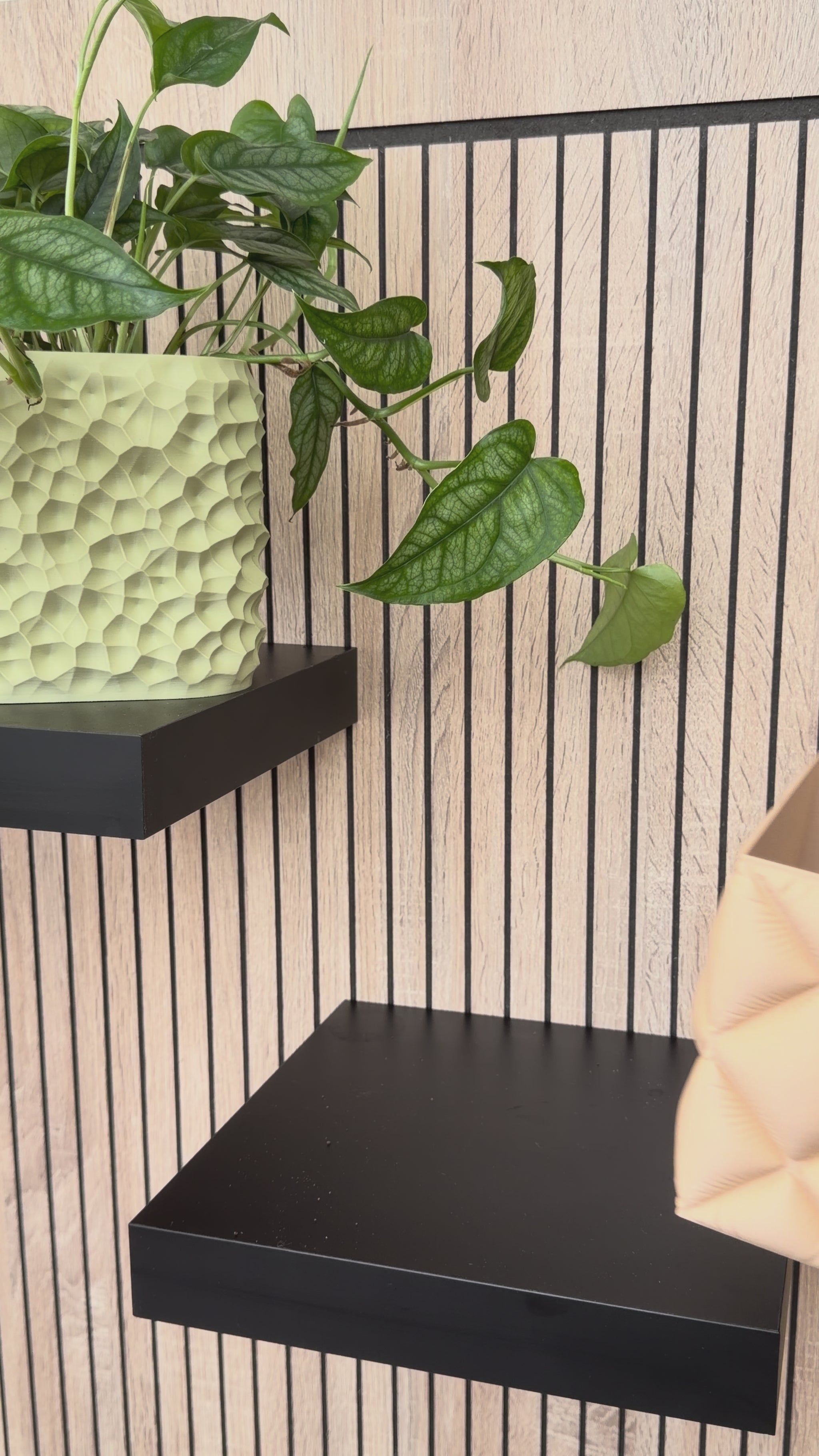Vaso Cozy Tropical Corner