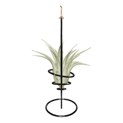 Supporto completo per Tillandsie Supporto per piante Tropical Corner