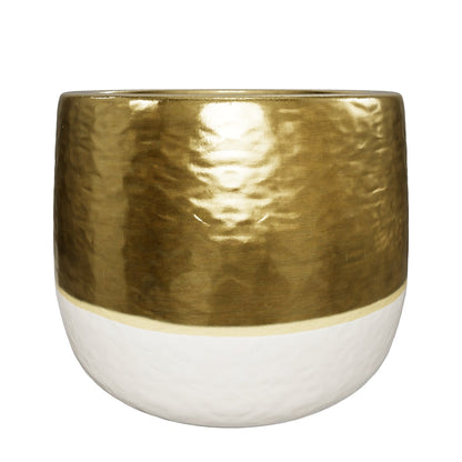 Vaso Elite Vaso Tropical Corner