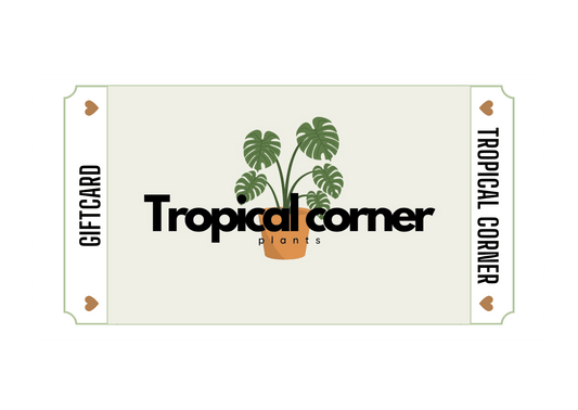 Tropical Gift Card